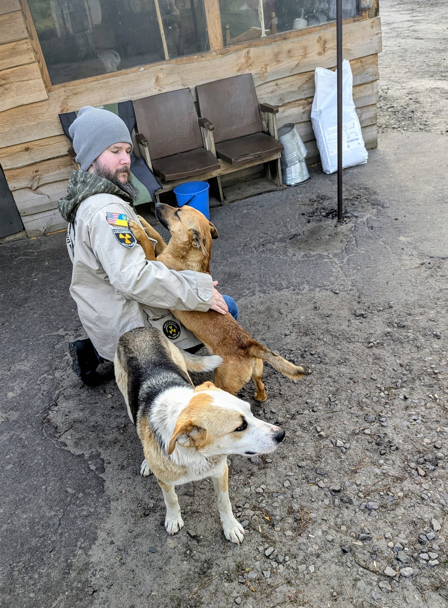 Dogs of Chernobyl — Charity Token | Evoke the Art